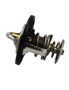 Termostato Rzr 1000 General/ranger/rzr
