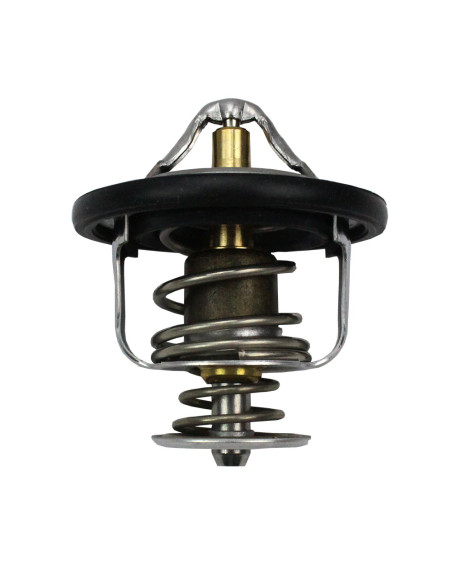 Termostato Rzr 1000 General/ranger/rzr