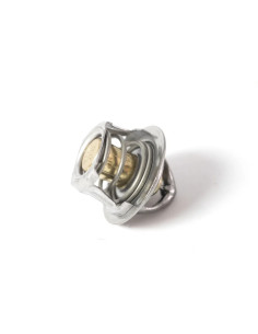 Termostato General/ranger/rzr