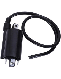 Bobina De Ignicion Kawasaki Brute Force 300