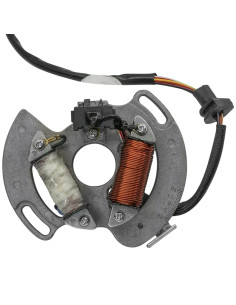 Estator Yamaha Blaster