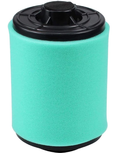 Filtro De Aire Canam Outlander-renegade 800-1000 Original