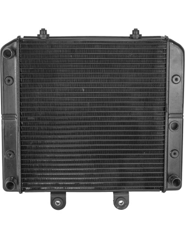 Radiador Polaris Sportsman 400/450/500 2004/2007