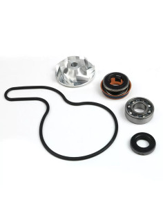 Kit De Bomba De Agua Rzr 900