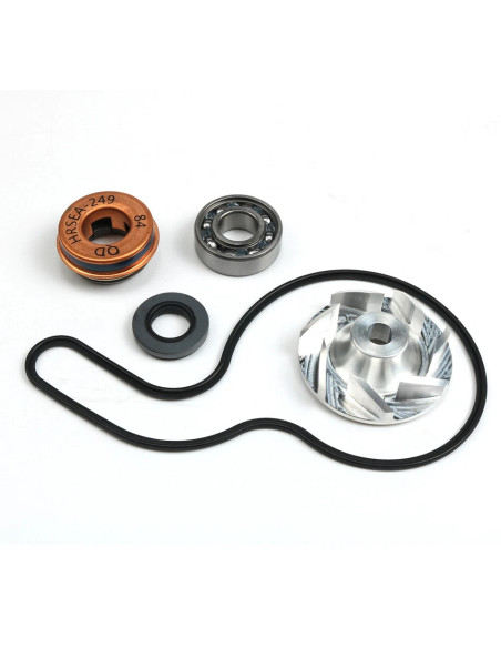 Kit De Bomba De Agua Rzr 900