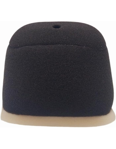 Filtro De Aire Ttr 230