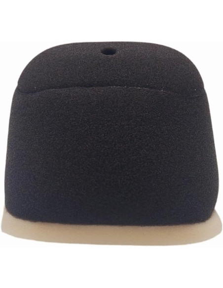 Filtro De Aire Ttr 230