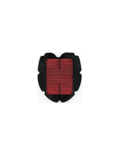 Filtro De Aire Tdm900 Original