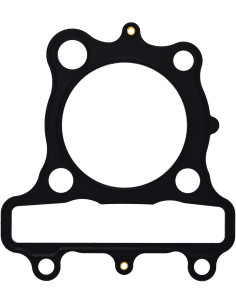 Junta De Tapa Bruin 250 Original