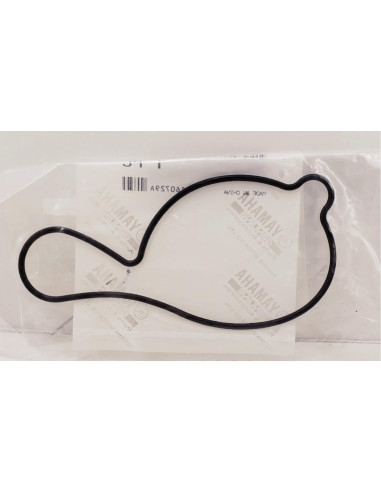 O-ring Bomba De Agua Original Yfz 450