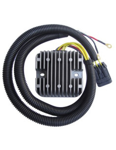 Regulador De Voltaje Rzr 1000