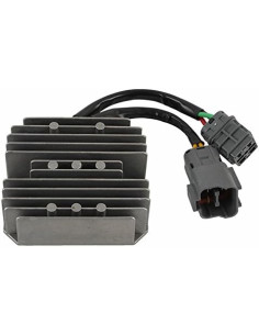 Regulador De Voltaje Dze Grizzly 300