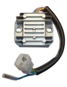 Regulador De Voltaje Monofasico Universal 110-125-250