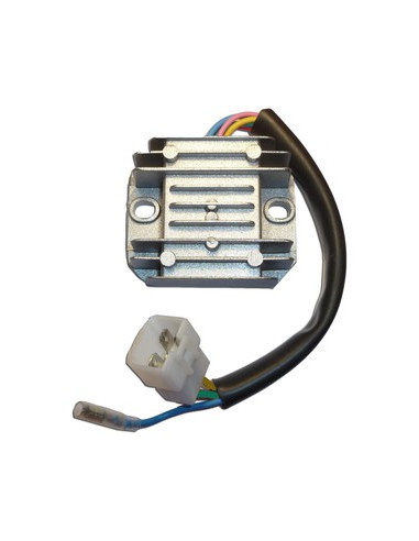 Regulador De Voltaje Monofasico Universal 110-125-250