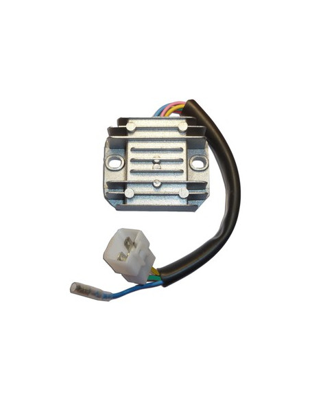 Regulador De Voltaje Monofasico Universal 110-125-250