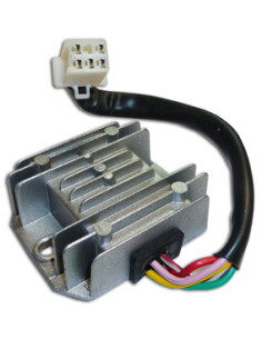 Regulador De Voltaje Monofasico C/ Salida De Luces C110