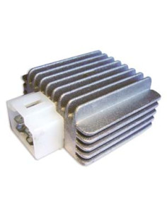 Regulador De Voltaje Monofasico Zanella 110 / Smash