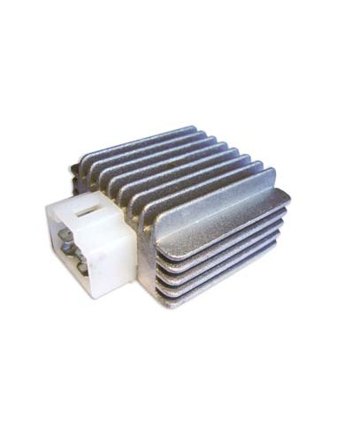 Regulador De Voltaje Monofasico Zanella 110 / Smash