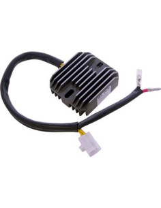 Regulador De Voltaje Zanella 2005