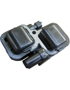 Bobina De Ignicion Polaris Rzr 900 800 Ranger 800