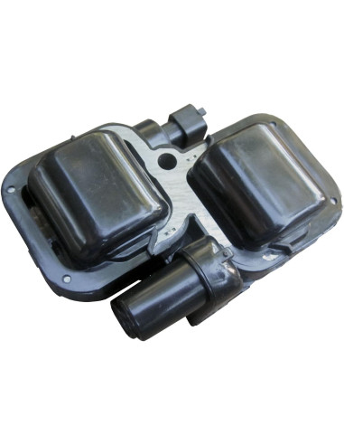 Bobina De Ignicion Polaris Rzr 900 800 Ranger 800