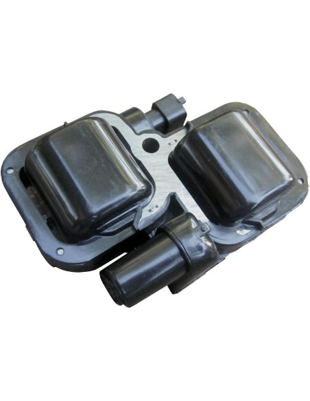 Bobina De Ignicion Polaris Rzr 900 800 Ranger 800