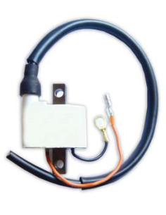 Bobina De Ignicion Cuatriciclo Yamaha Blaster