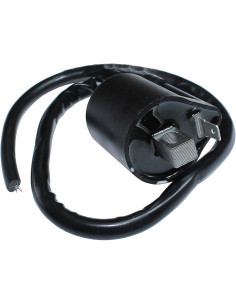 Bobina De Ignicion Yamaha Yfm 350cc Warrior