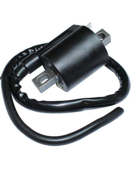 Bobina De Ignicion Yamaha Yfm 350cc Warrior