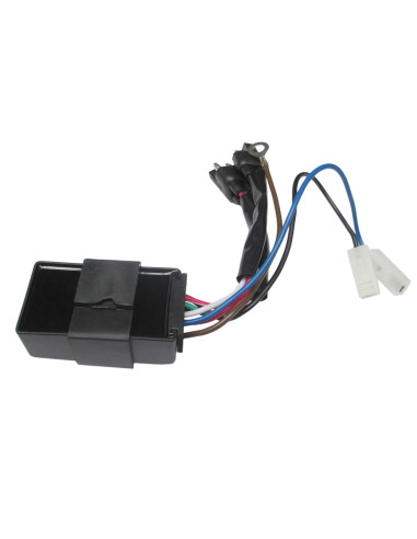 Cdi Polaris Sportsman 400 01-02