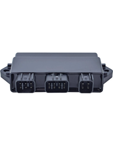 Cdi Yamaha Rhino 660