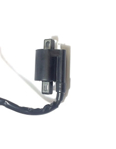 Bobina De Ignicion Yamaha Bear Tracker 250 Yfm250x (99-04)