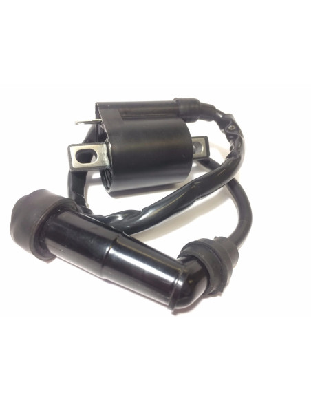 Bobina De Ignicion Yamaha Bear Tracker 250 Yfm250x (99-04)