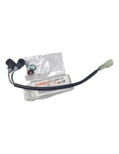 Luz De Tablero N Y R Raptor 350 Original