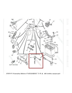 Bulbo De Freno Trasero Raptor 660r
