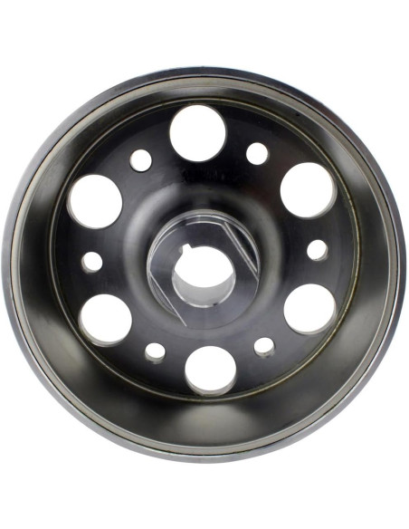 Volante Magnetico Yfz450r 09-15 Alternativo