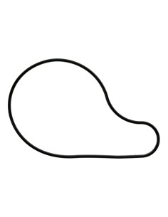 O-ring Bomba De Agua Original Wr250f - Yz250f