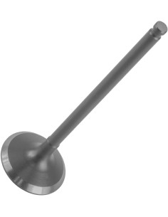 Valvula De Admision Yz250f