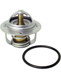 Termostato Yamaha Grizzly 700 Rhino 700