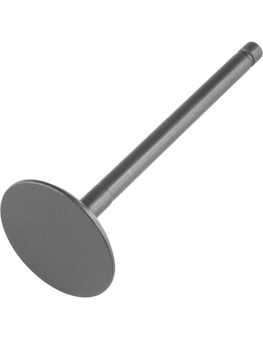 Valvula De Admision Raptor 250 Original