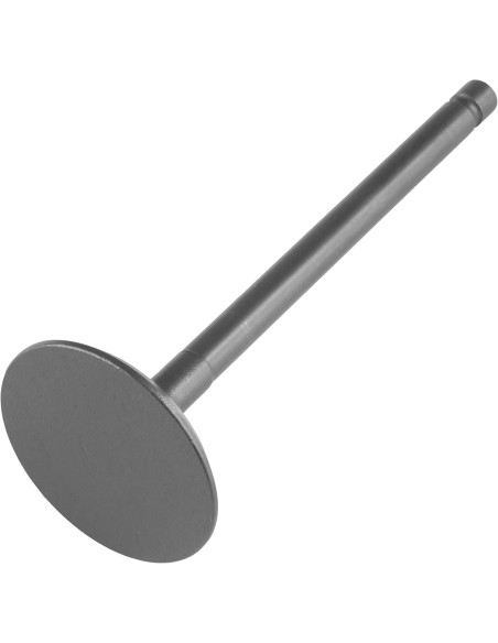 Valvula De Admision Raptor 250 Original