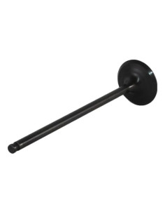 Valvula De Admision Tdm850 Original