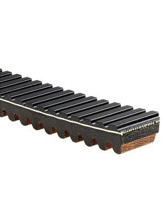 Correa Gates 26g3628 Outlander