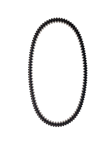 Correa 3211162 Rzr 800/ Ranger 800