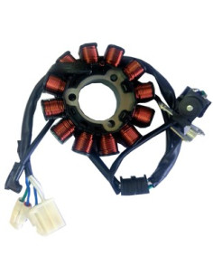 Estator  Fz 16 Con  Carburador