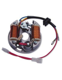 Estator Dze Garelli-zanella