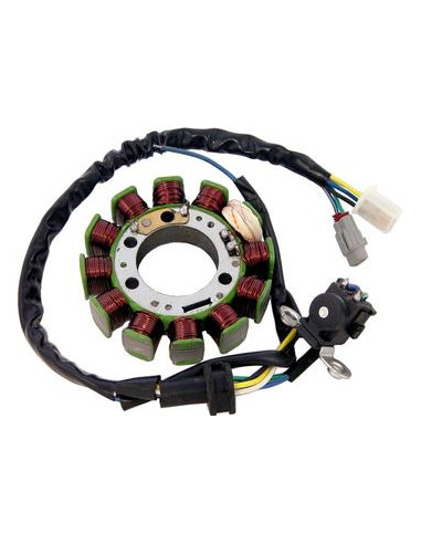 Estator Dze Yamaha Ybr 125 12 Bobinas