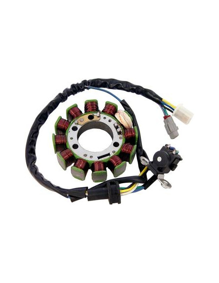 Estator Dze Yamaha Ybr 125 12 Bobinas