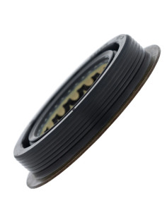 Reten Viton Triple Lip W Shield And Flange Rzr Pro / Turbo Original