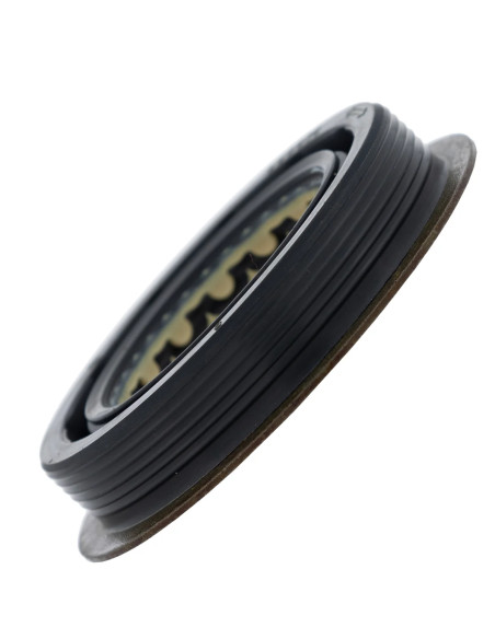 Reten Viton Triple Lip W Shield And Flange Rzr Pro / Turbo Original